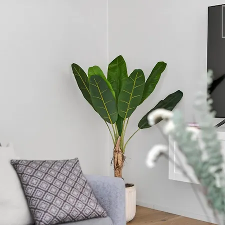 2br Kalamaja Flat With Private Lift & Roof Terrace Appartement